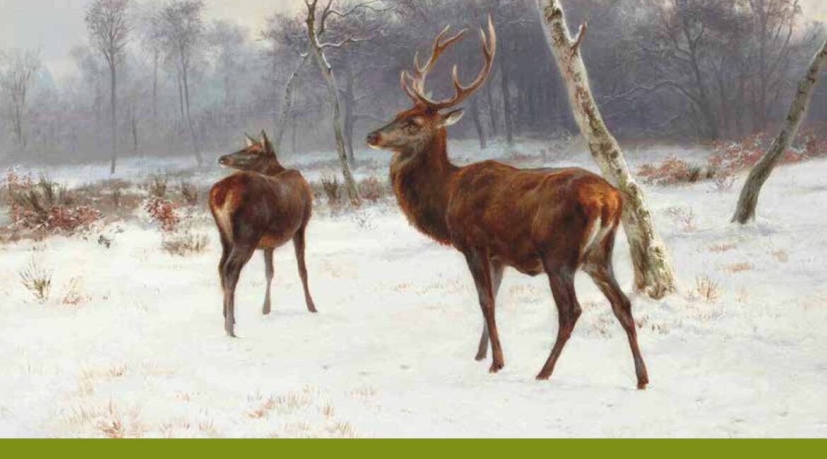 Landesjagdverband Berlin - Pressebericht